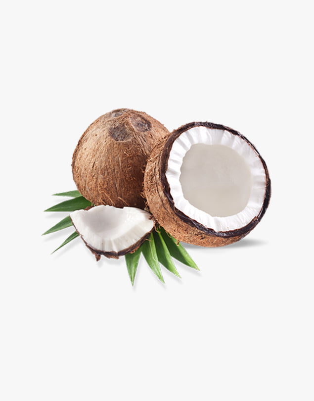 Organic coconet