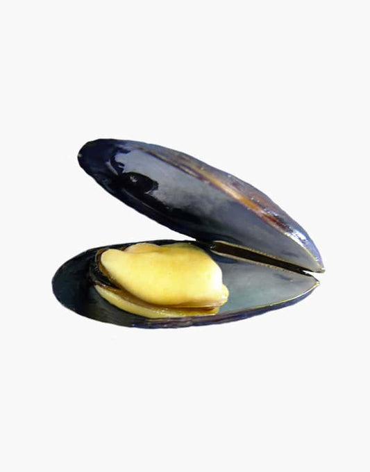 Fresh mussel (500g)